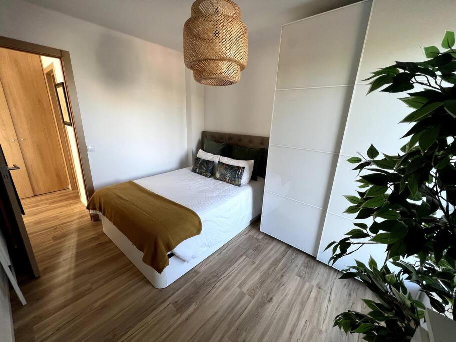 Penthouse Terraco De Coimbra Apartment Екстериор снимка